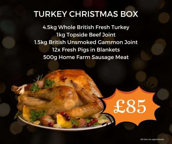 Turkey Christmas Box
