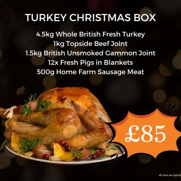 Turkey Christmas Box